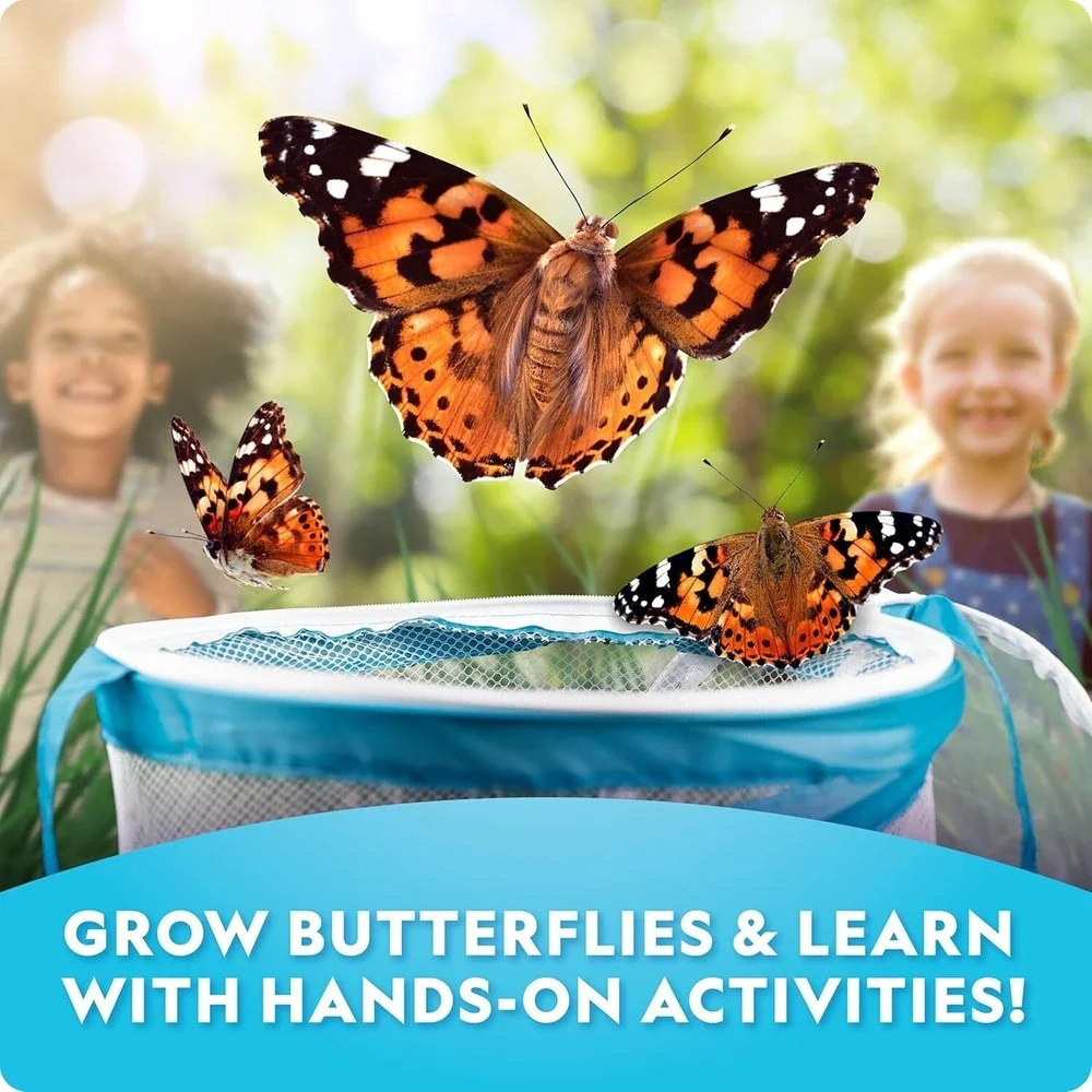 National Geographic Butterfly‎ Growing Kit Feed & Grow Real Caterpillars Habitat